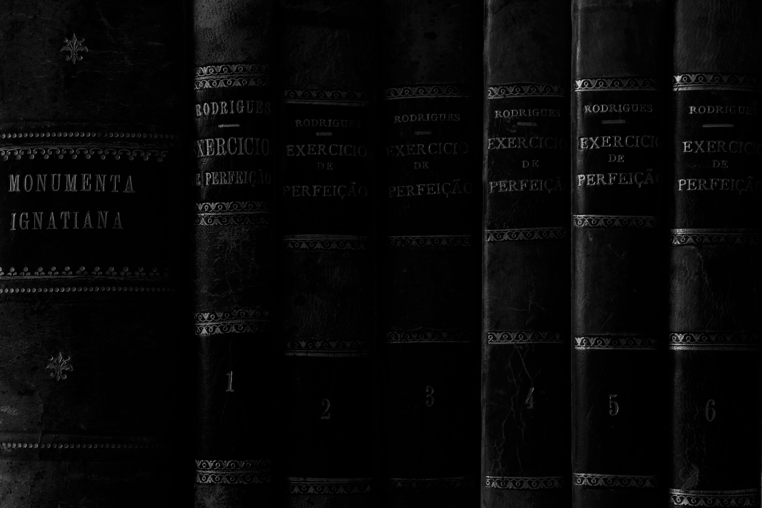 There Are Never Enough Books